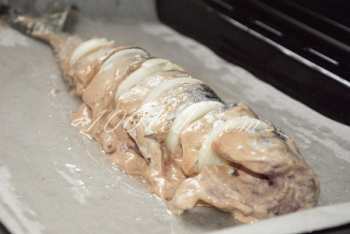Скумбрия, запеченная в духовке: рецепт с пошаговым фото